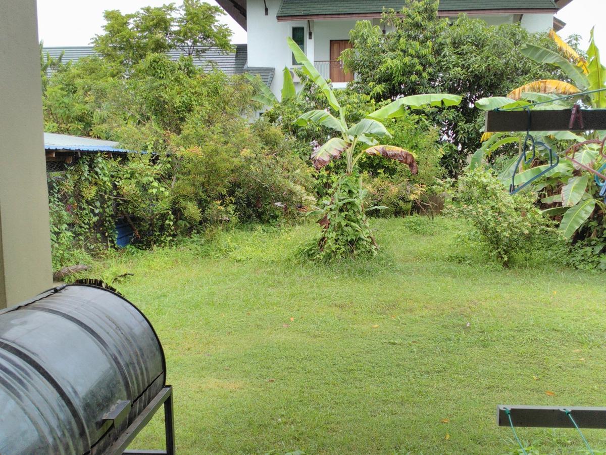 Homestay Pulau Langkawi *